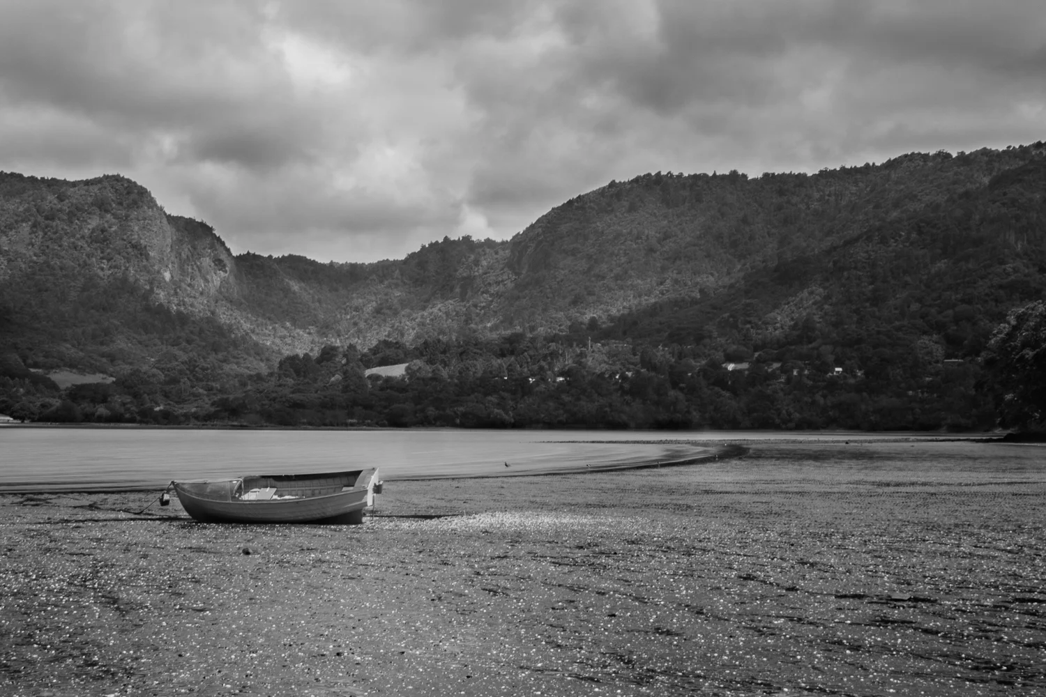 20140211-IMG_1605 copybwbest.jpg