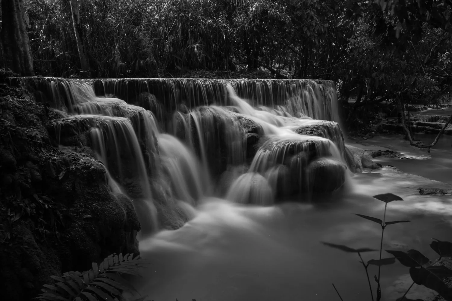 20140328-IMG_7726 copybw.jpg