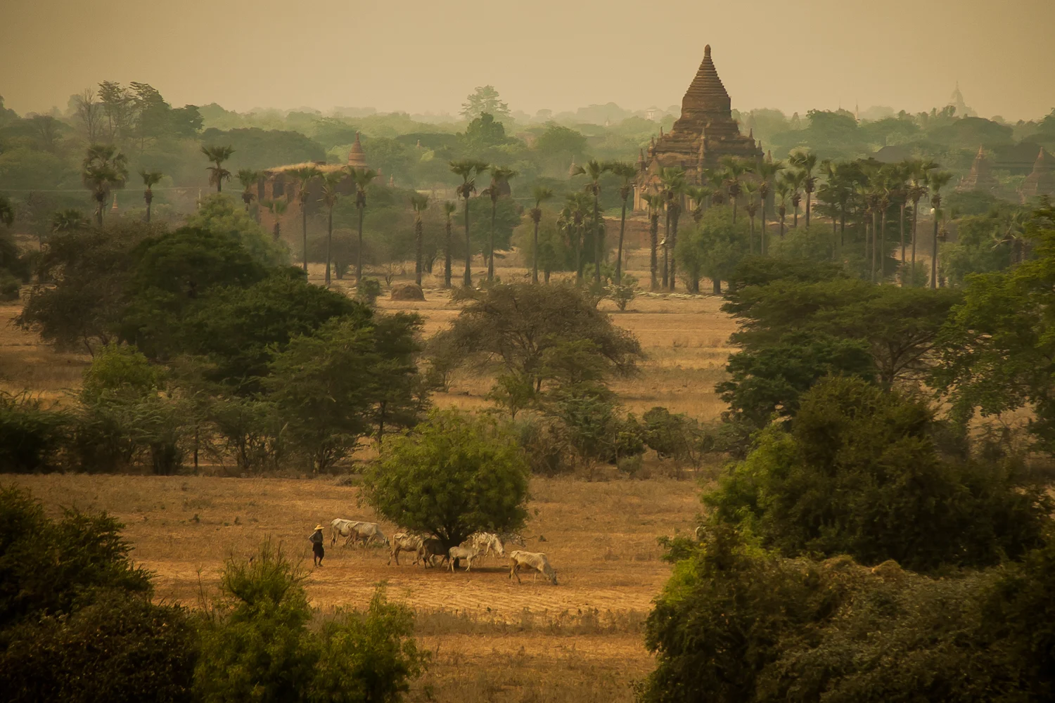 20140416-IMG_0474 copymayanmar.jpg