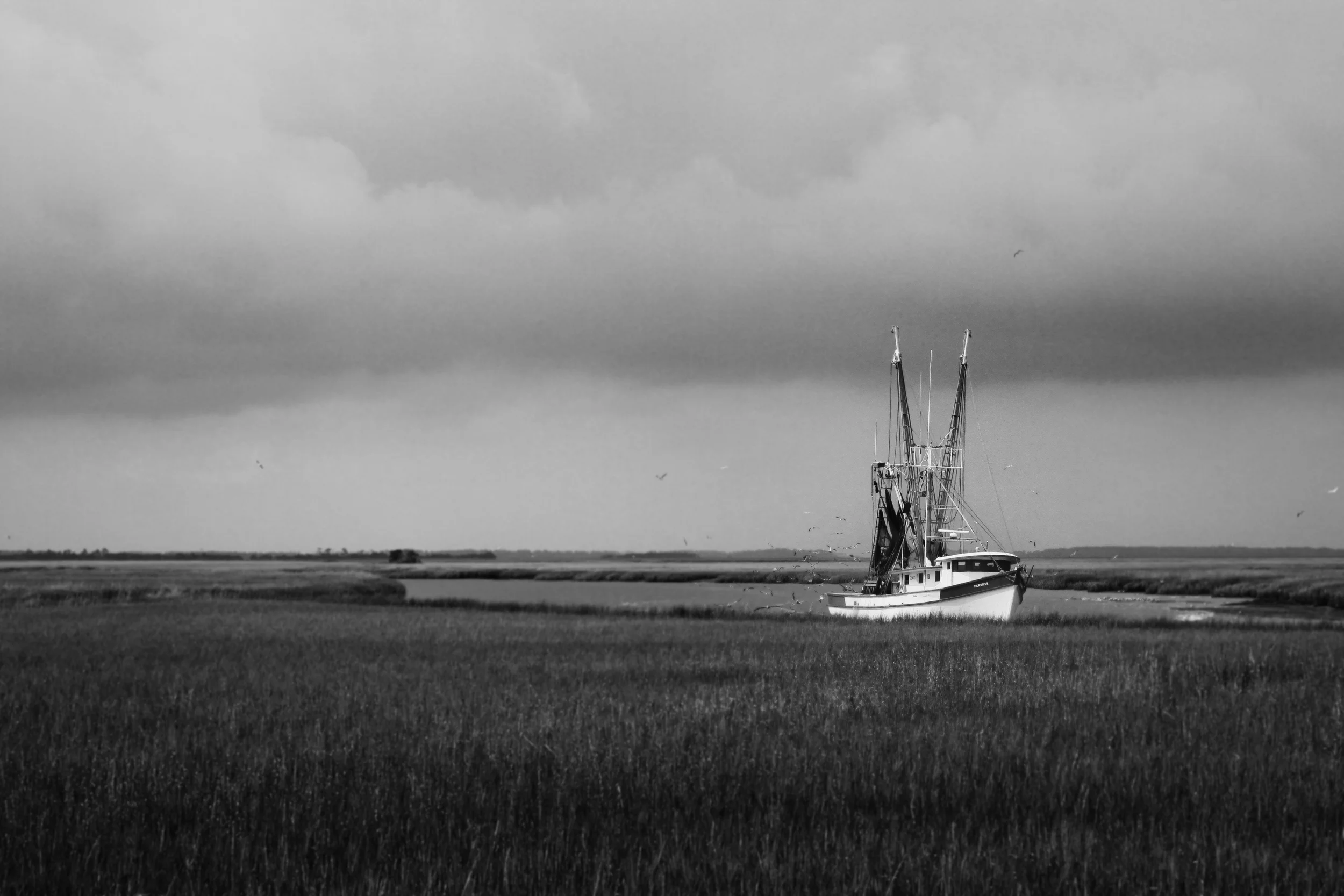 _MG_1538 copybwblur.jpg