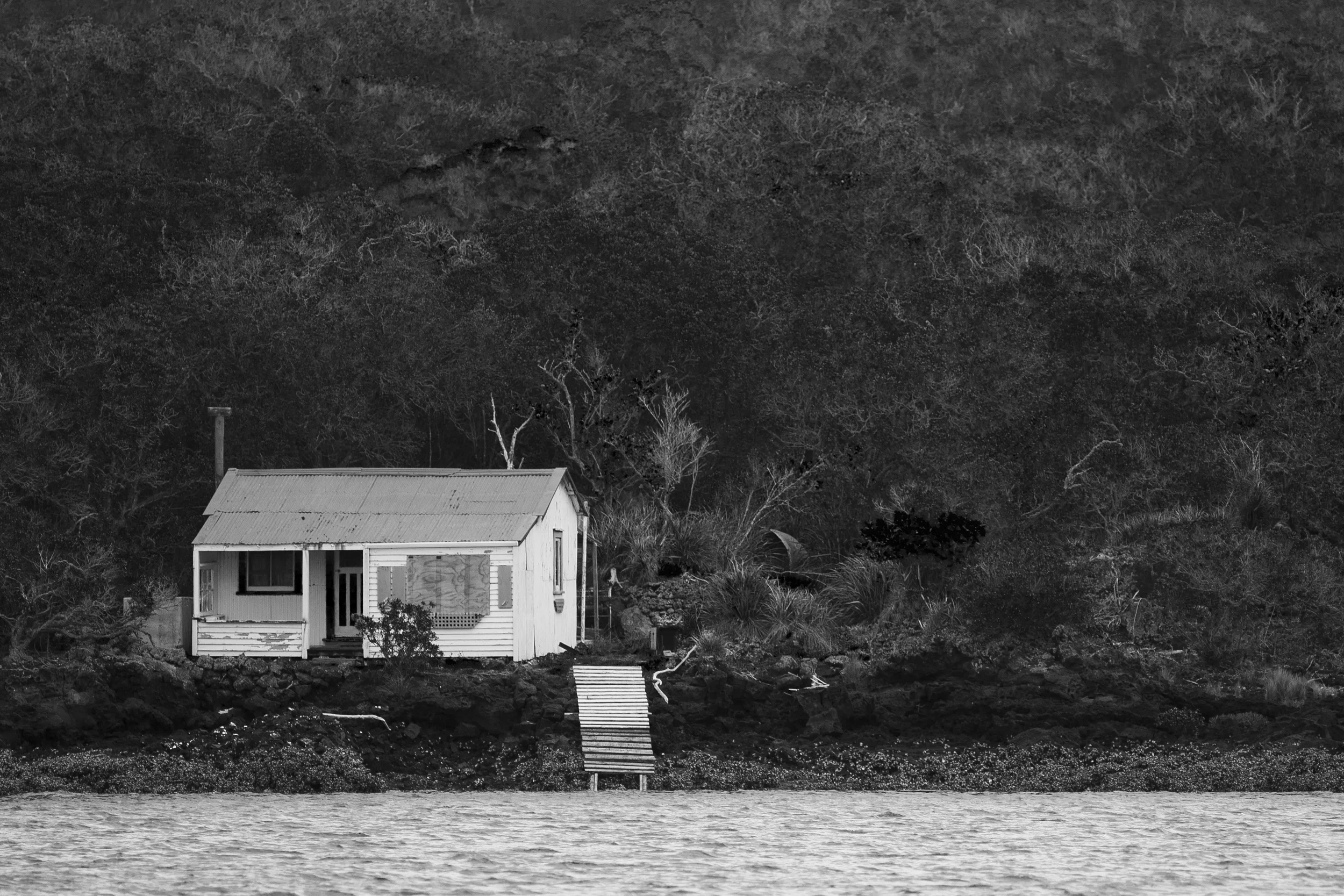 _DM37358 shackblackandwhite.jpg