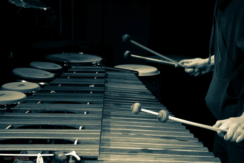 Alex Petcu, June 2012