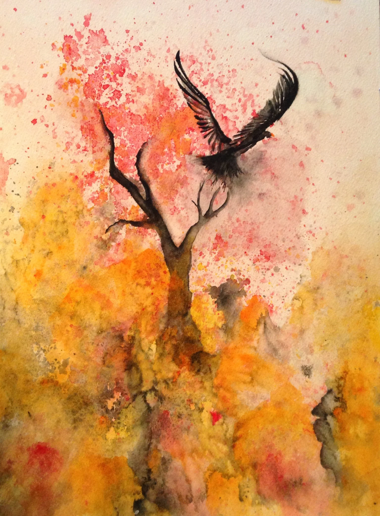 Forest Fire - Mpulse Studio