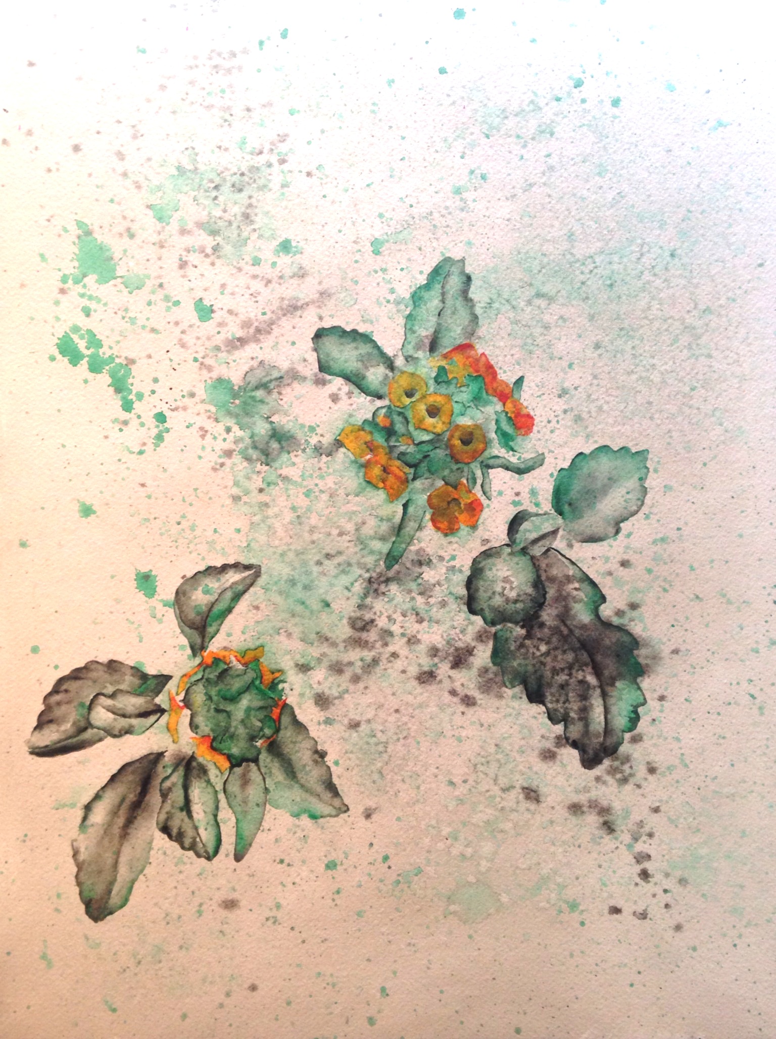 Misty Green Flowers salt scrubbed water color on cold press paper 12" x 16" $500