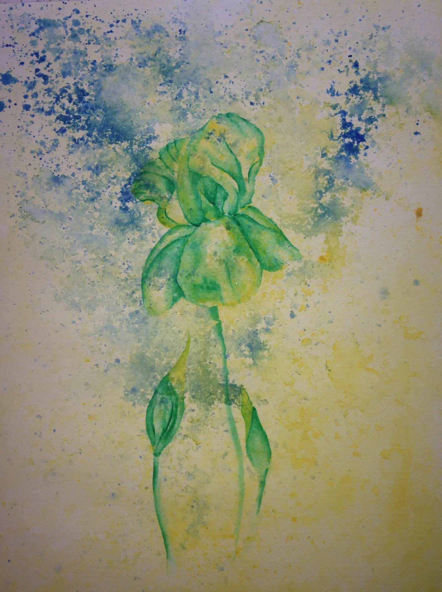 Yellow Iris of Del Curto Street salt scrubbed water color on cold press paper 12" x 16" $500