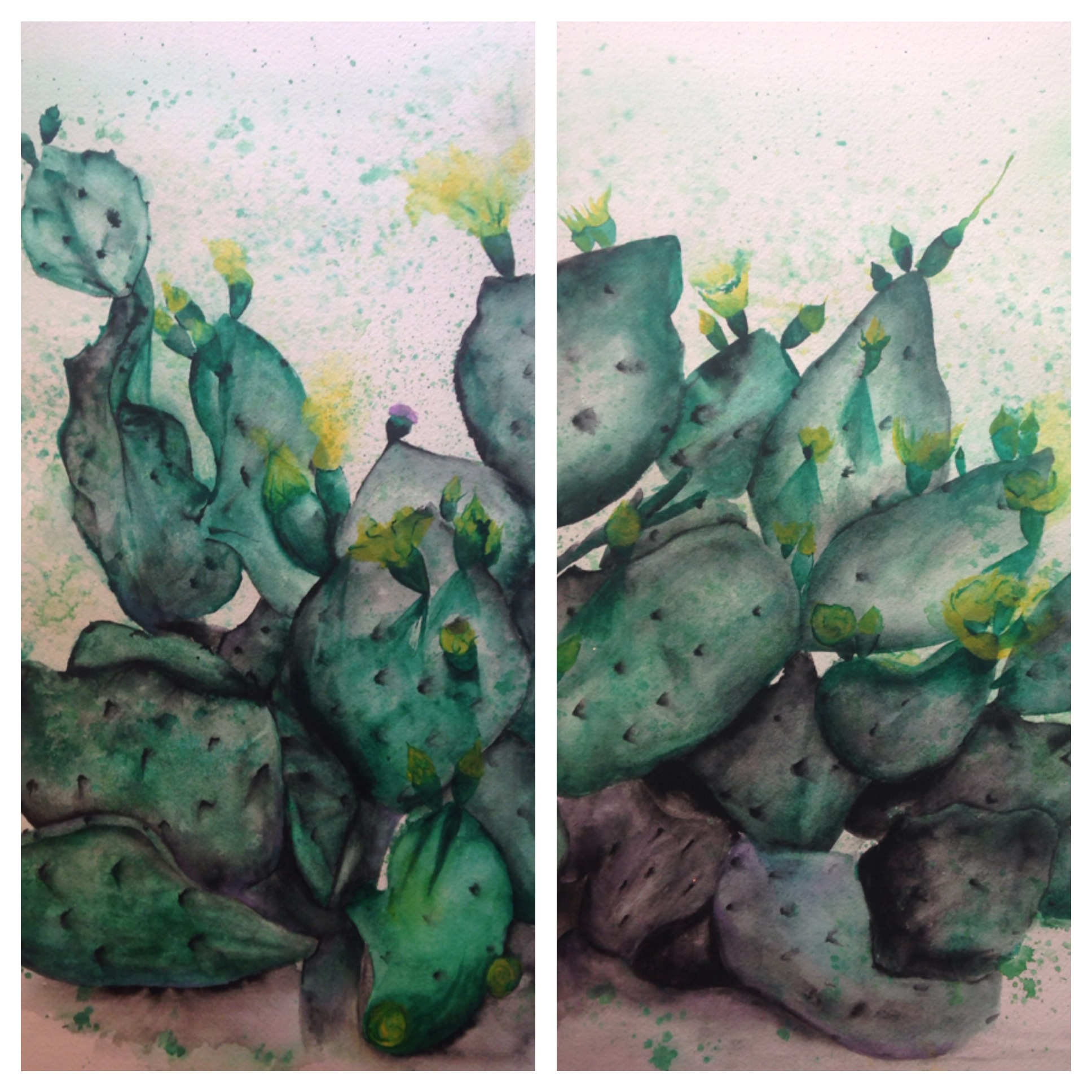 Kinney Avenue Cactus (diptych) salt scrubbed water color on cold press paper 2 panels (12" x 16" each) $900
