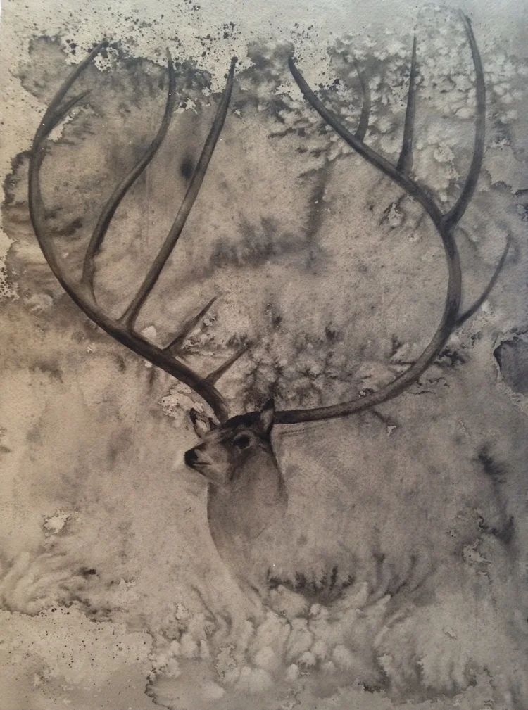 Eleven Point Buck