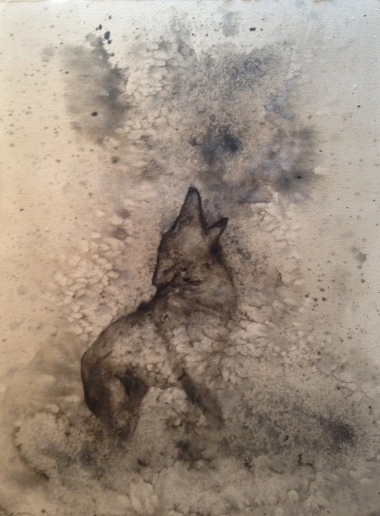 Howling at the Moon