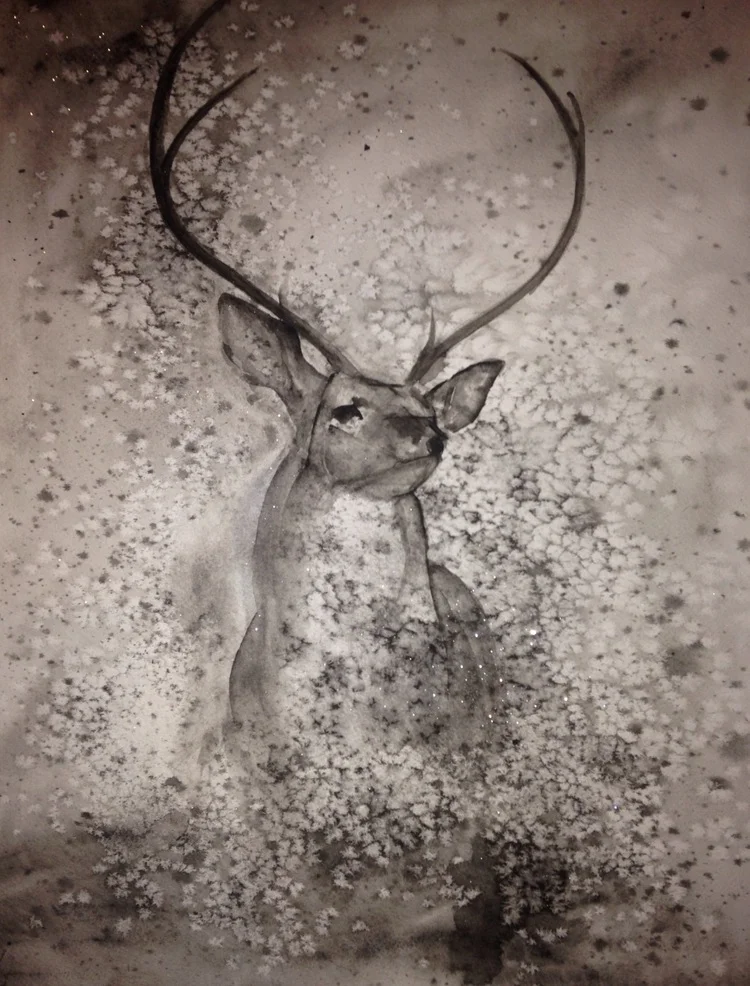 Six Point Buck
