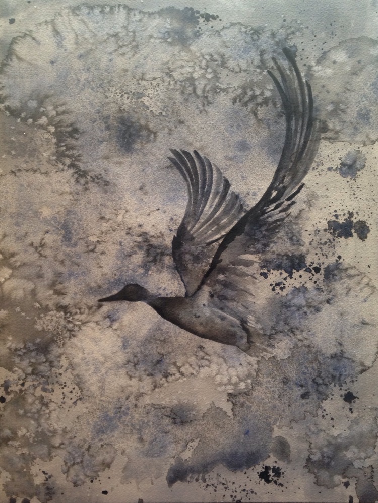 Mallard in Flight