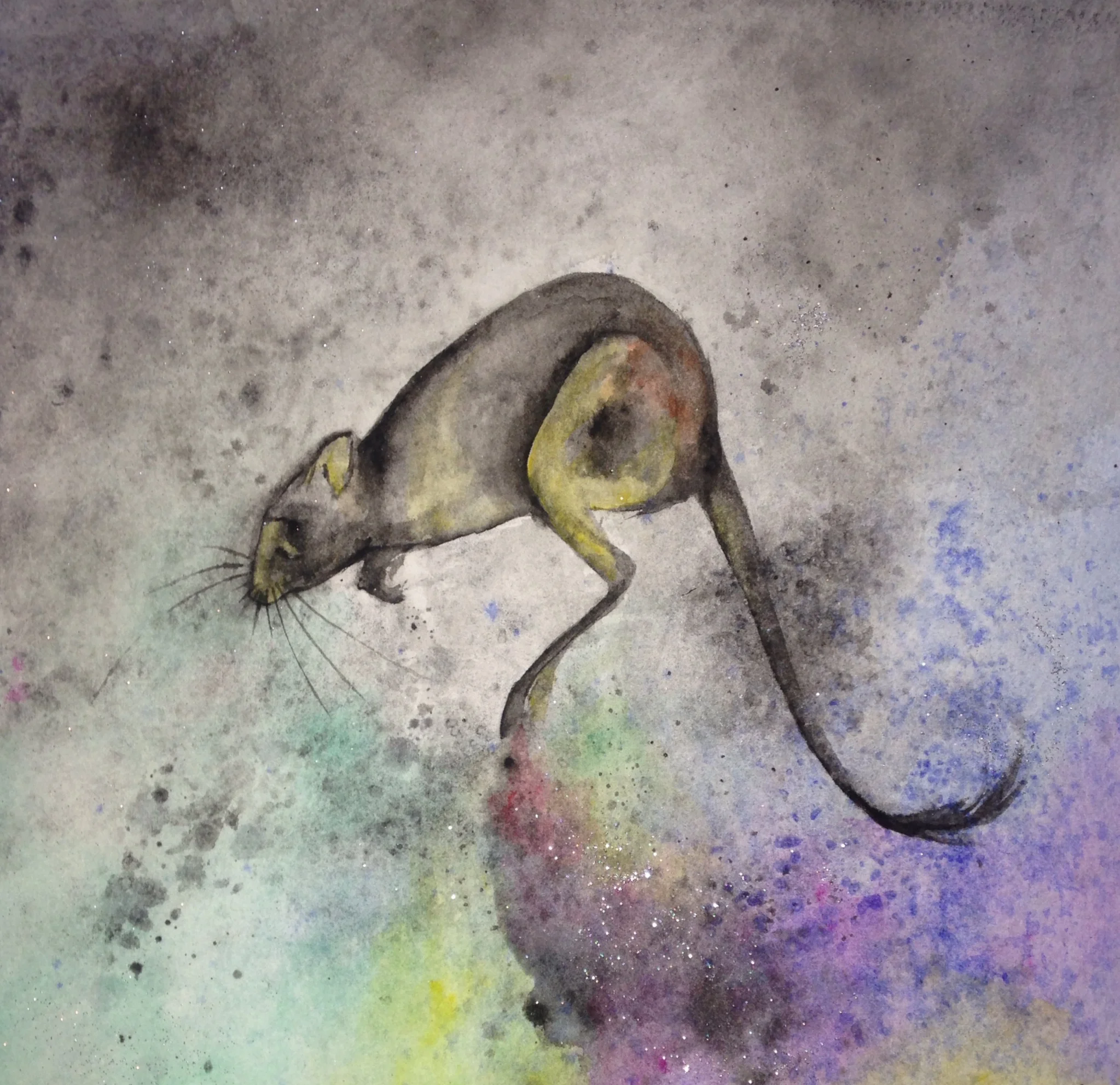 Kangaroo Rat Springing in the Air