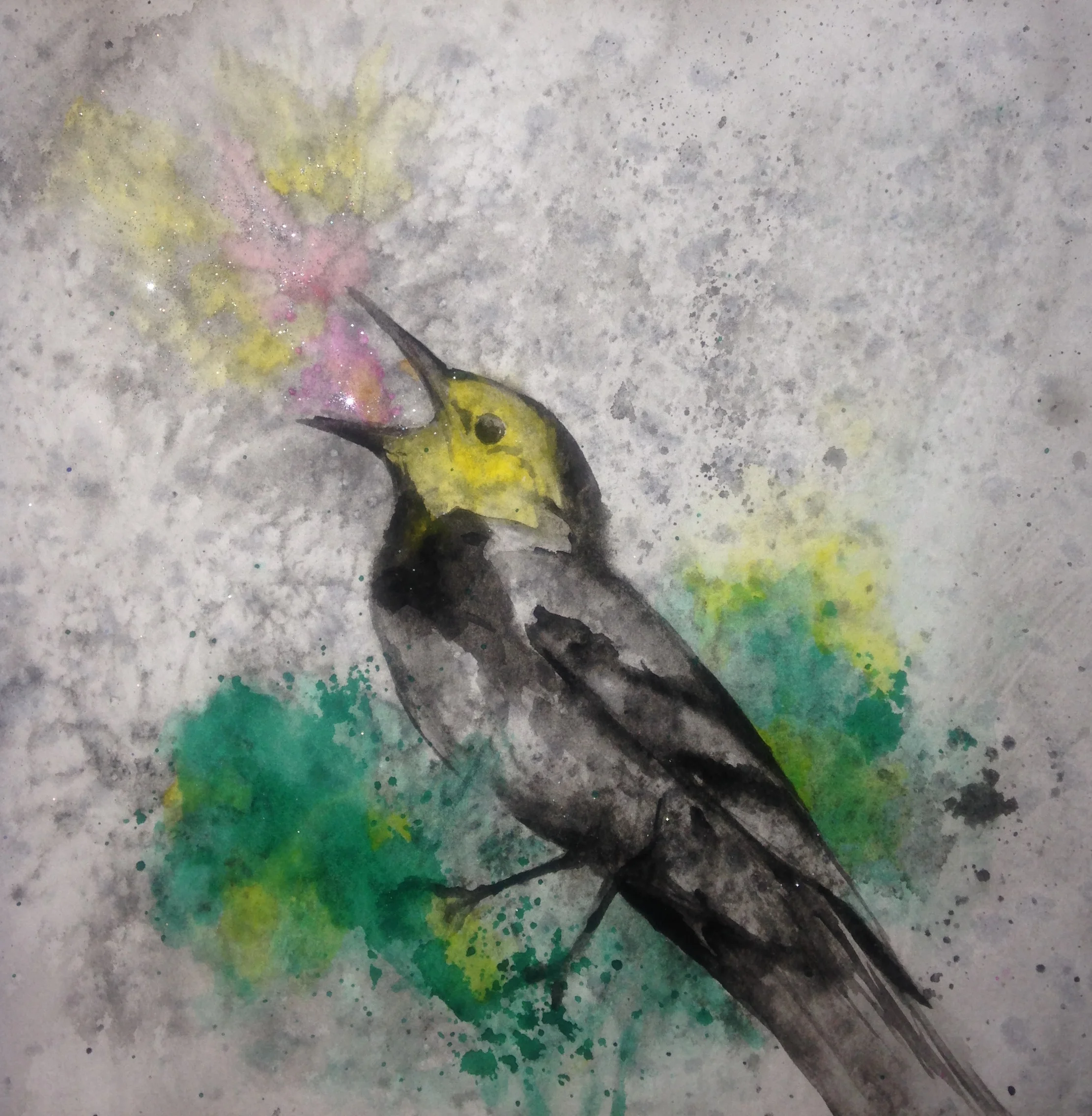 Golden Cheeked Warbler Sings a Glittered Song