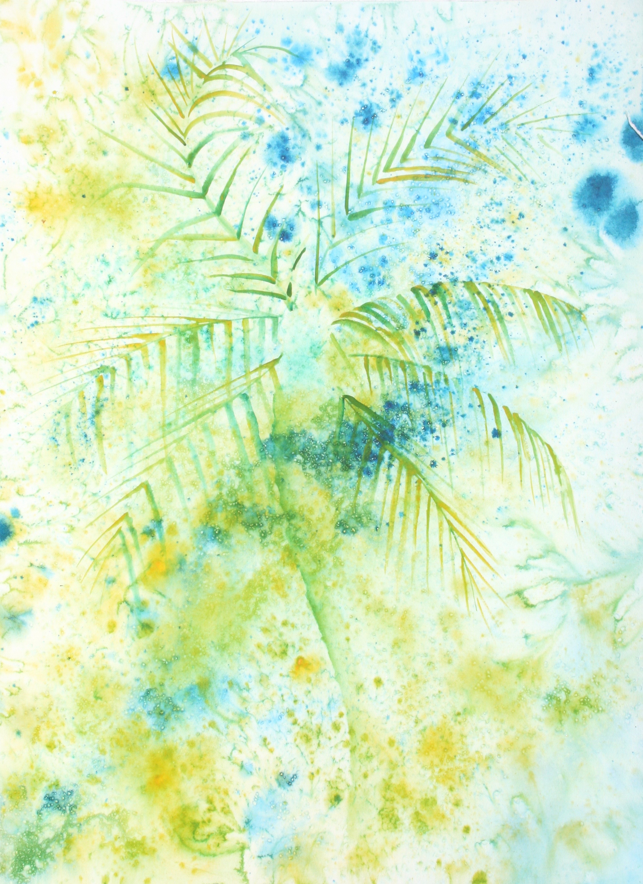 Belizean Palm Breeze