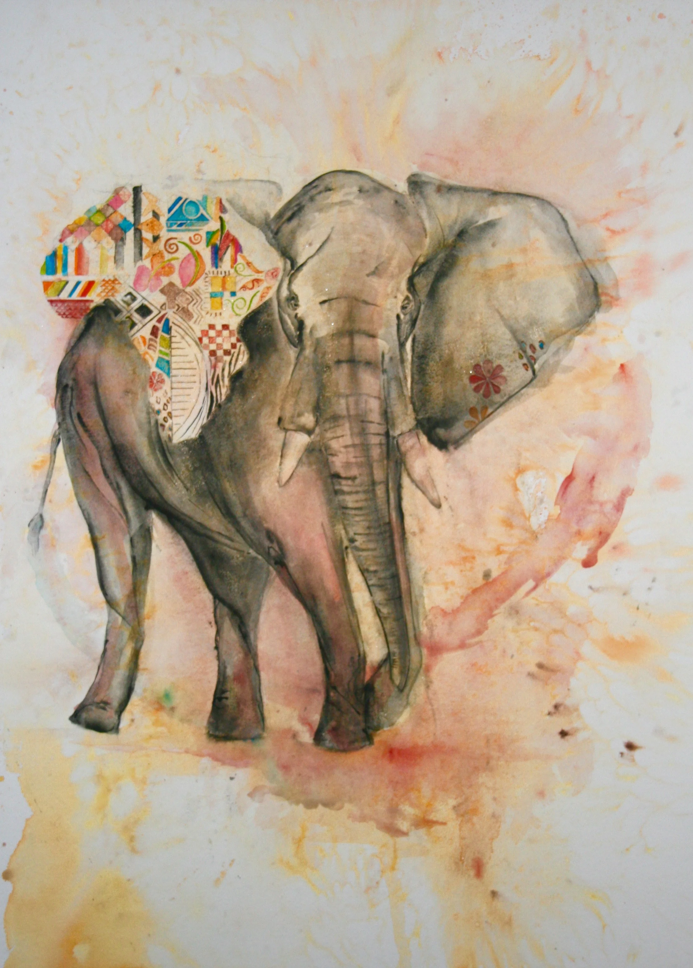 African Elephant