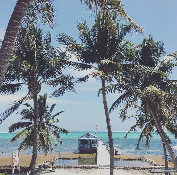 The Art of Surrender