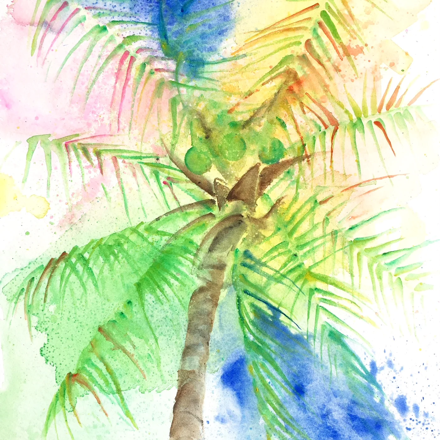 Vibrant Coconut Tree.JPG