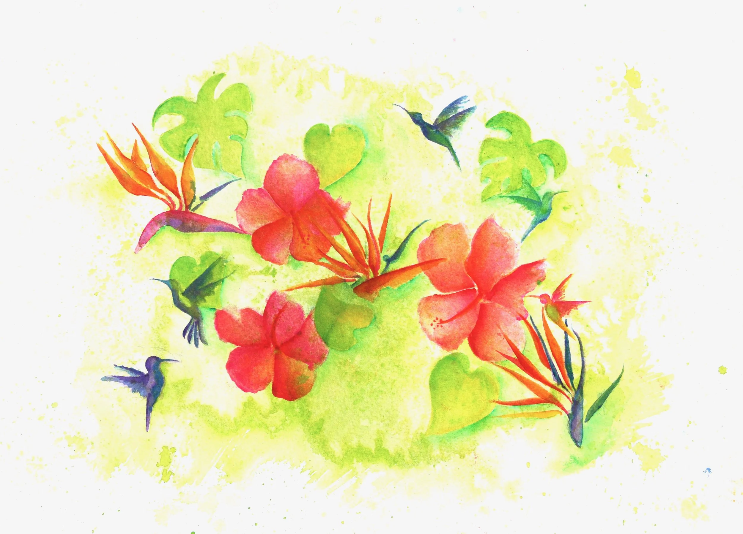 Tropical Garden for Social.jpg