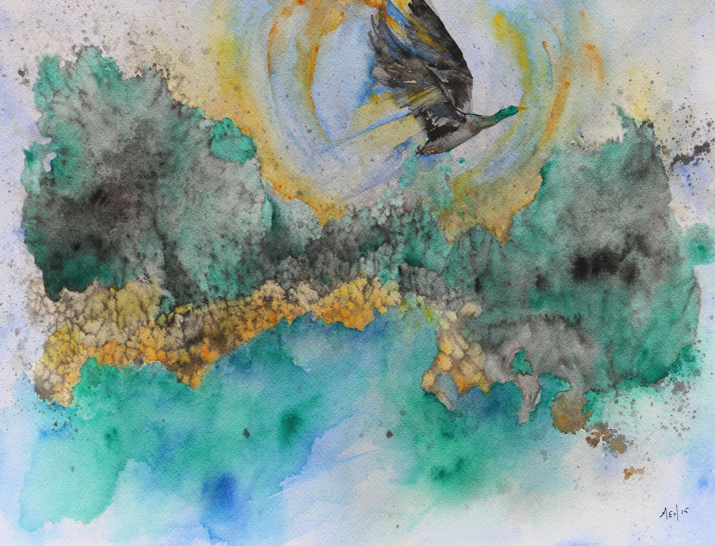 Flight over the Trinity.jpg