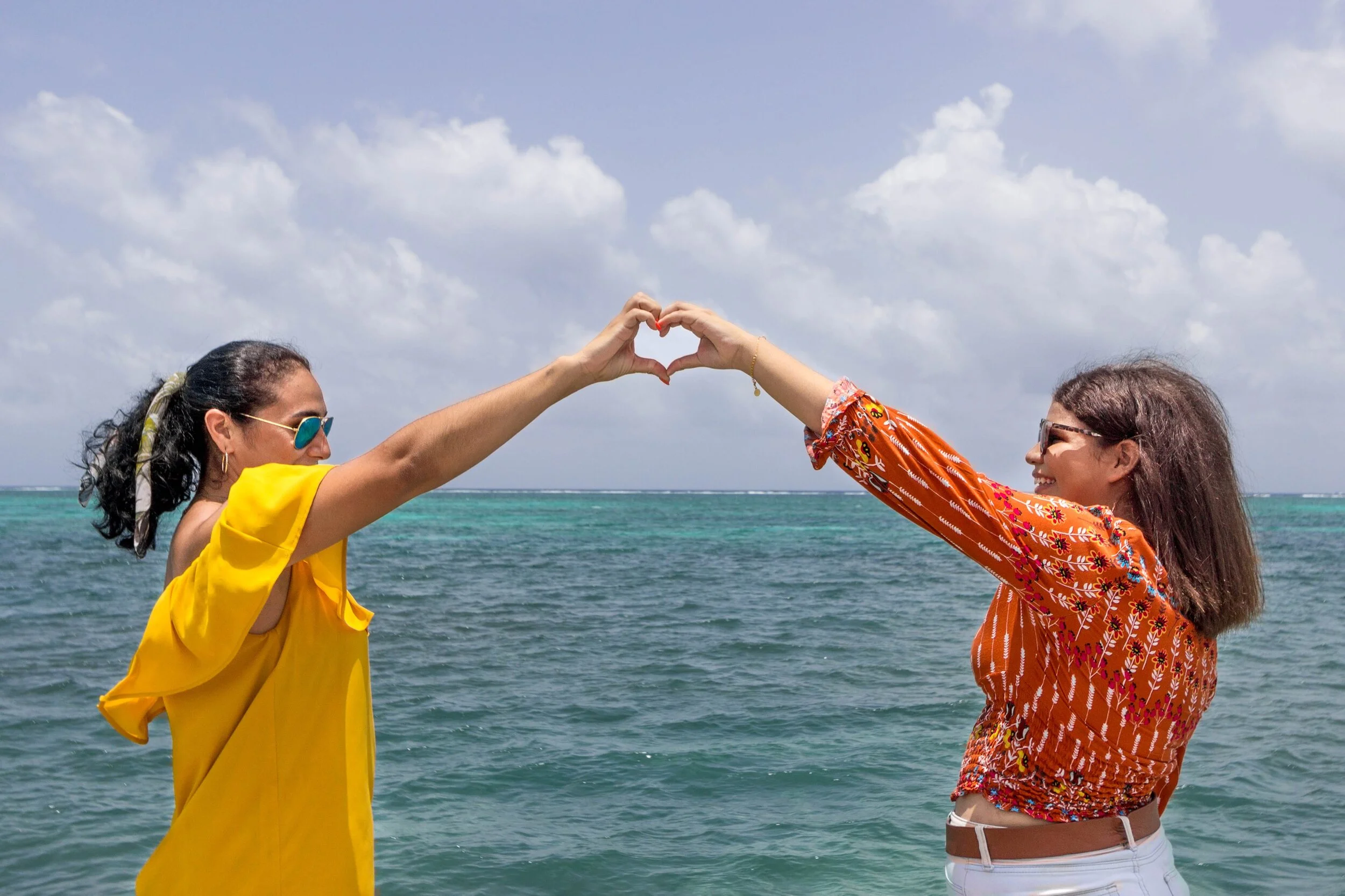 Michelle heart hands no logo.jpg