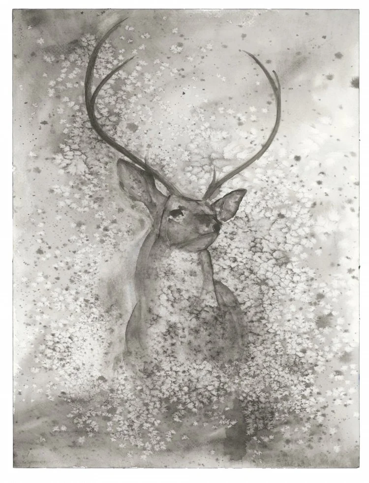 Looking Back to Where it all Began