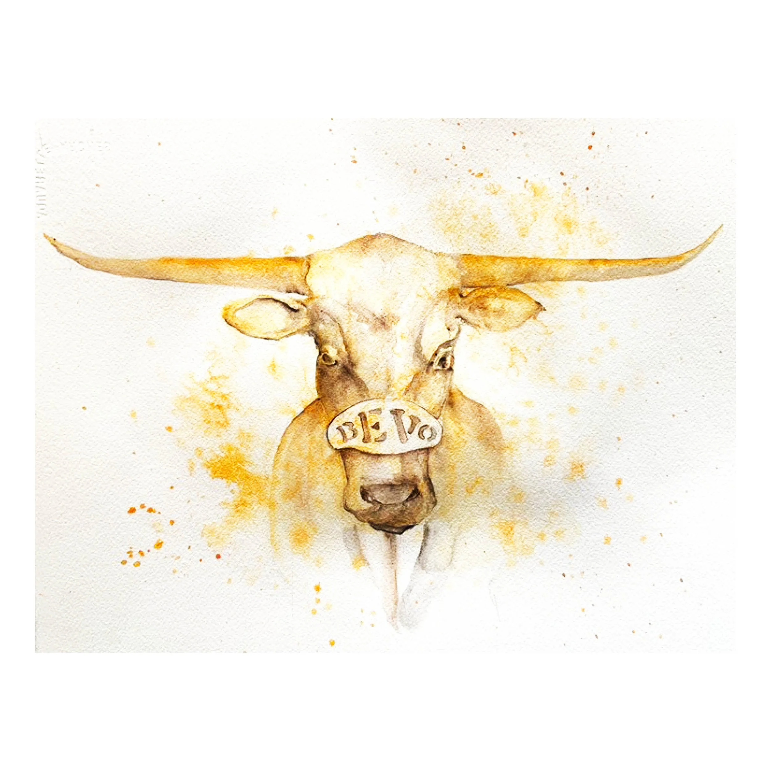 Bevo for Website.jpg