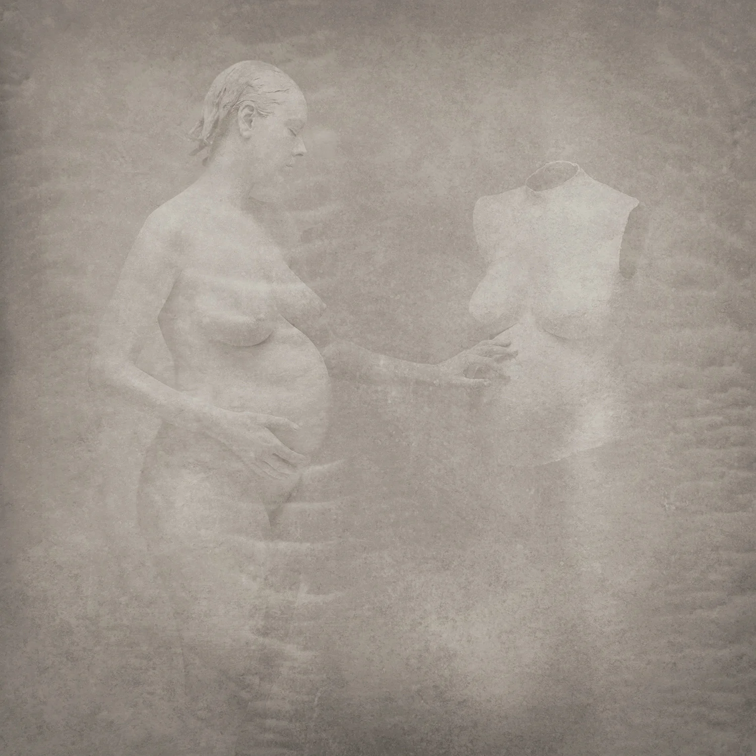 Dissection 14