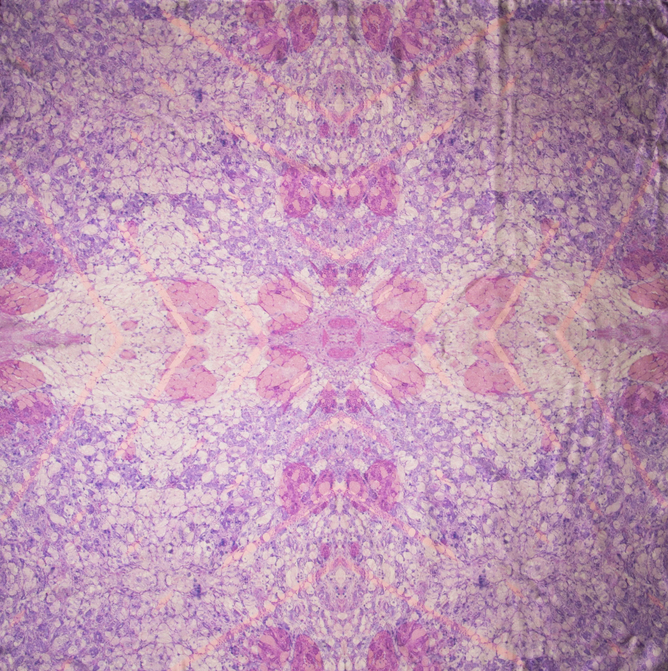 9J6C1599c.jpg