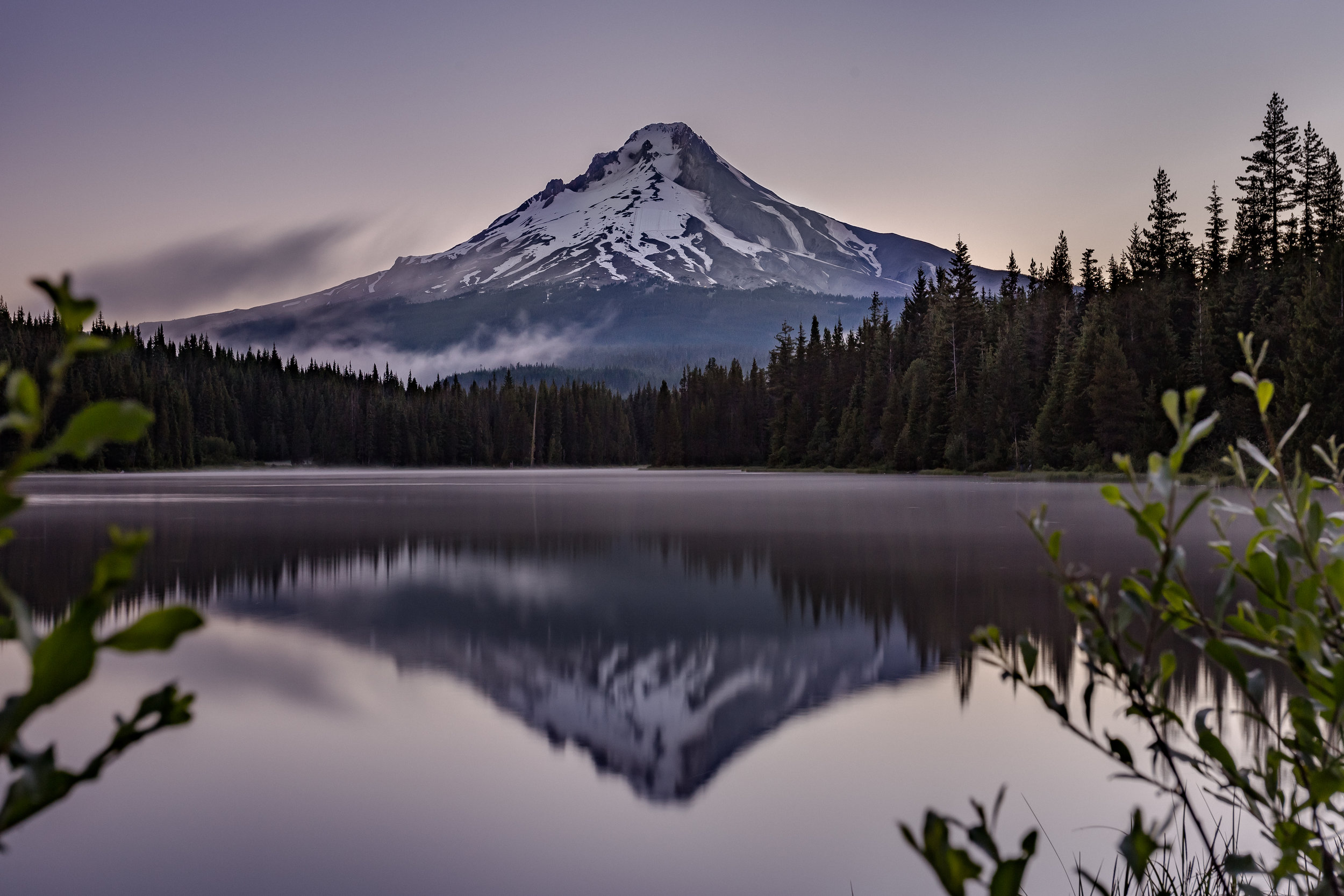 _MG_2607.jpg