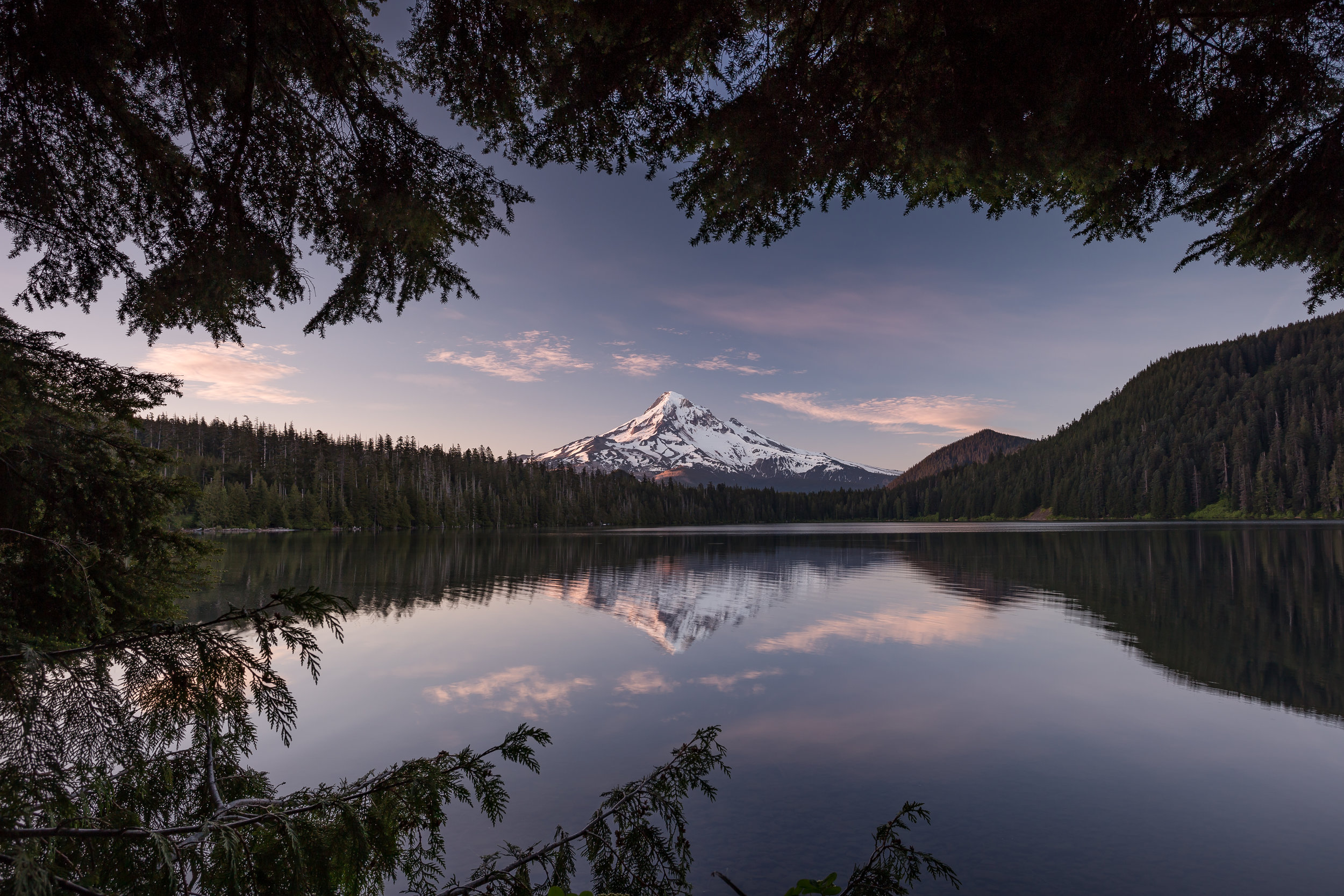 _MG_2415.jpg
