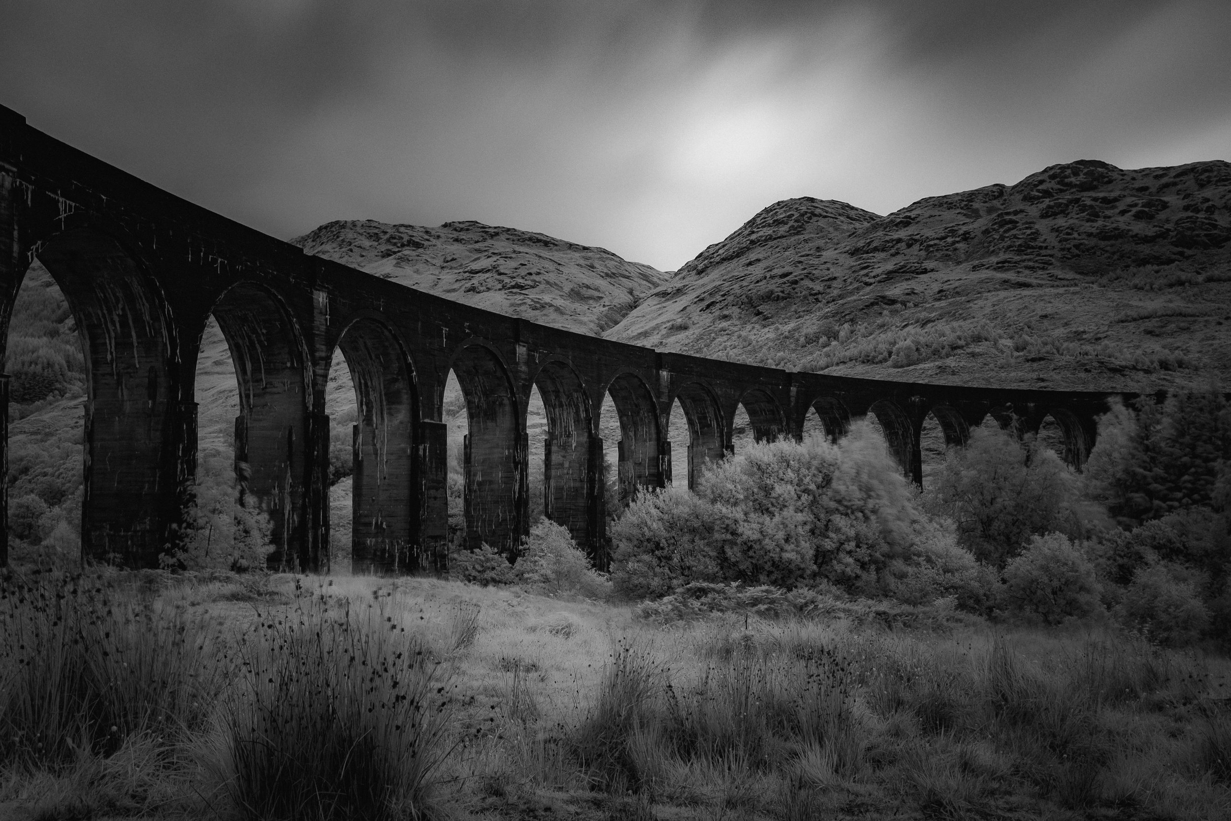 DSCF5918.jpg