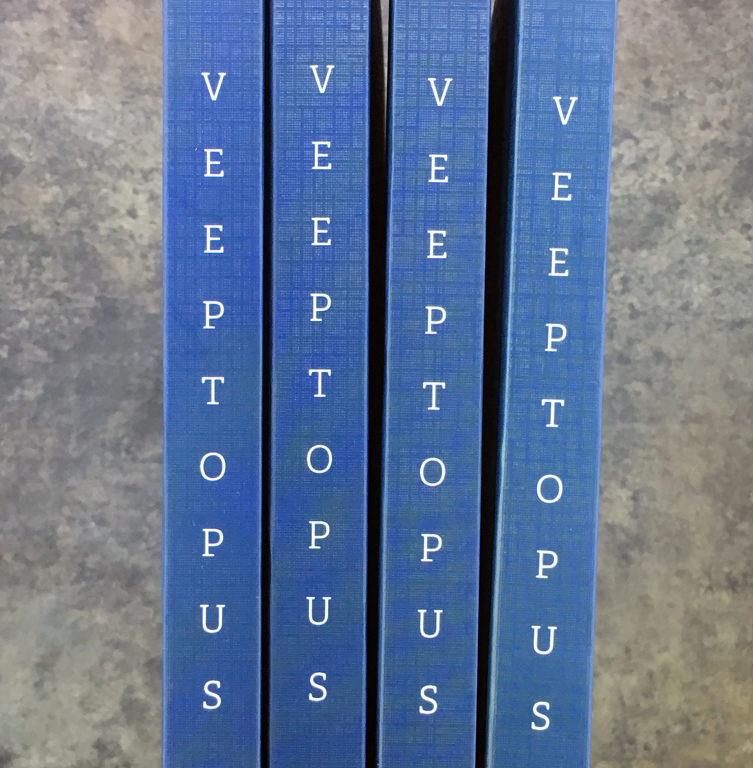 101VeeptopusBook04.jpg