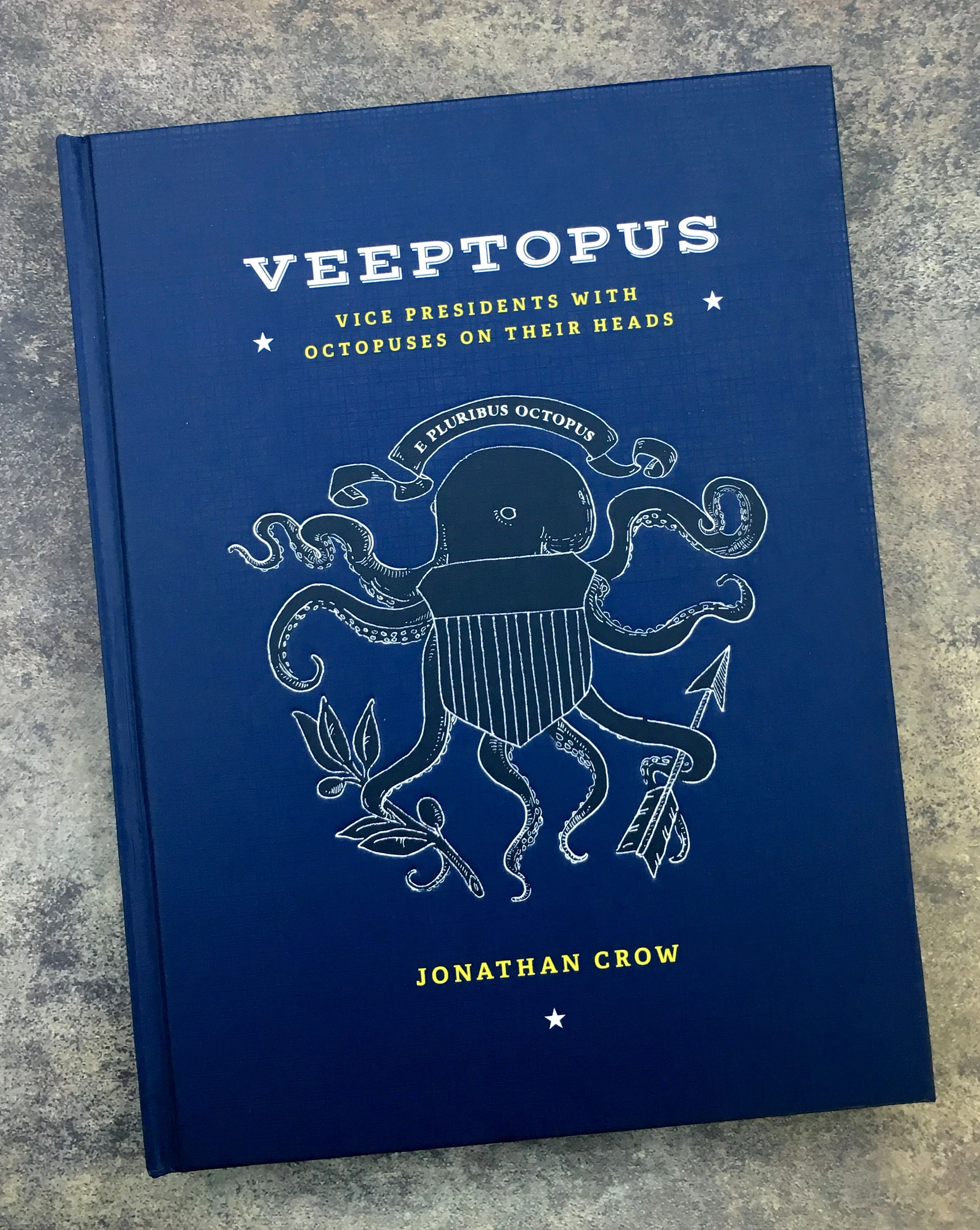 101VeeptopusBook01.jpg