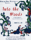 90-01-intowoods.gif