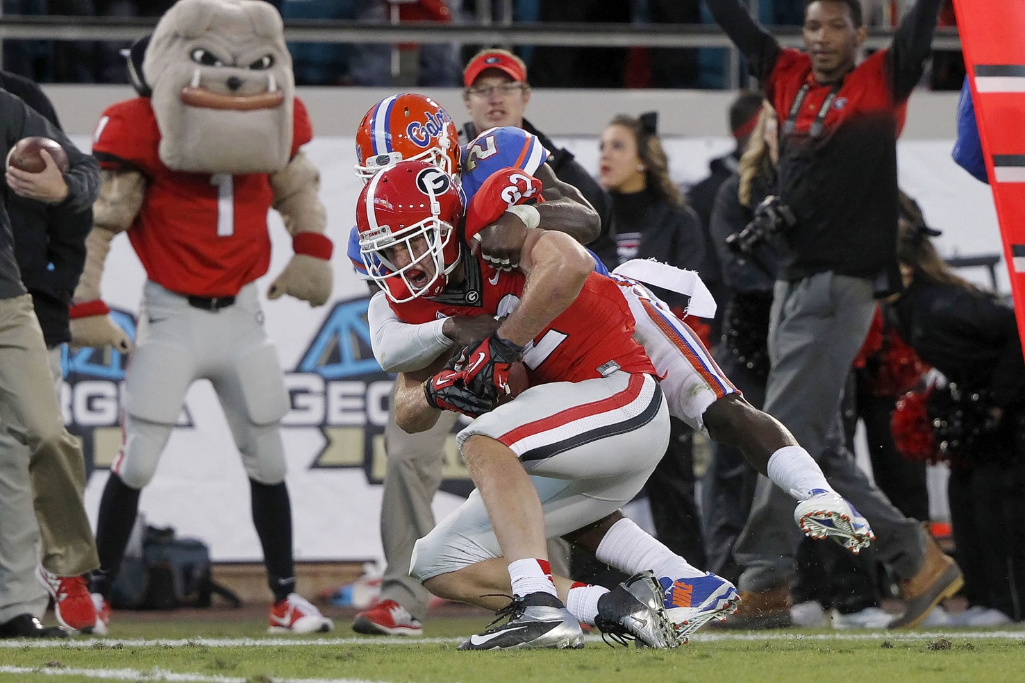 Man, Georgia's mascot is really getting into the game. Look at how intensely he's staring!