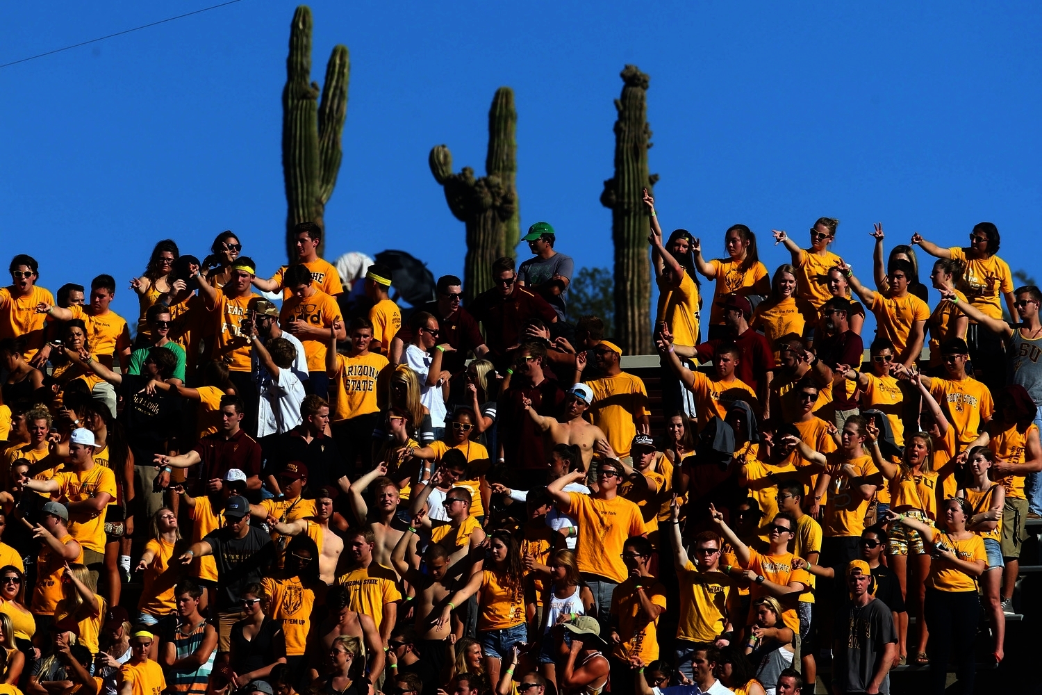 Are those cacti so high that they rise above the stadium seating, or did someone bring them to the game? Or, third possibility, were they brought to the game? Who brings cacti? ASU fans, that's who.