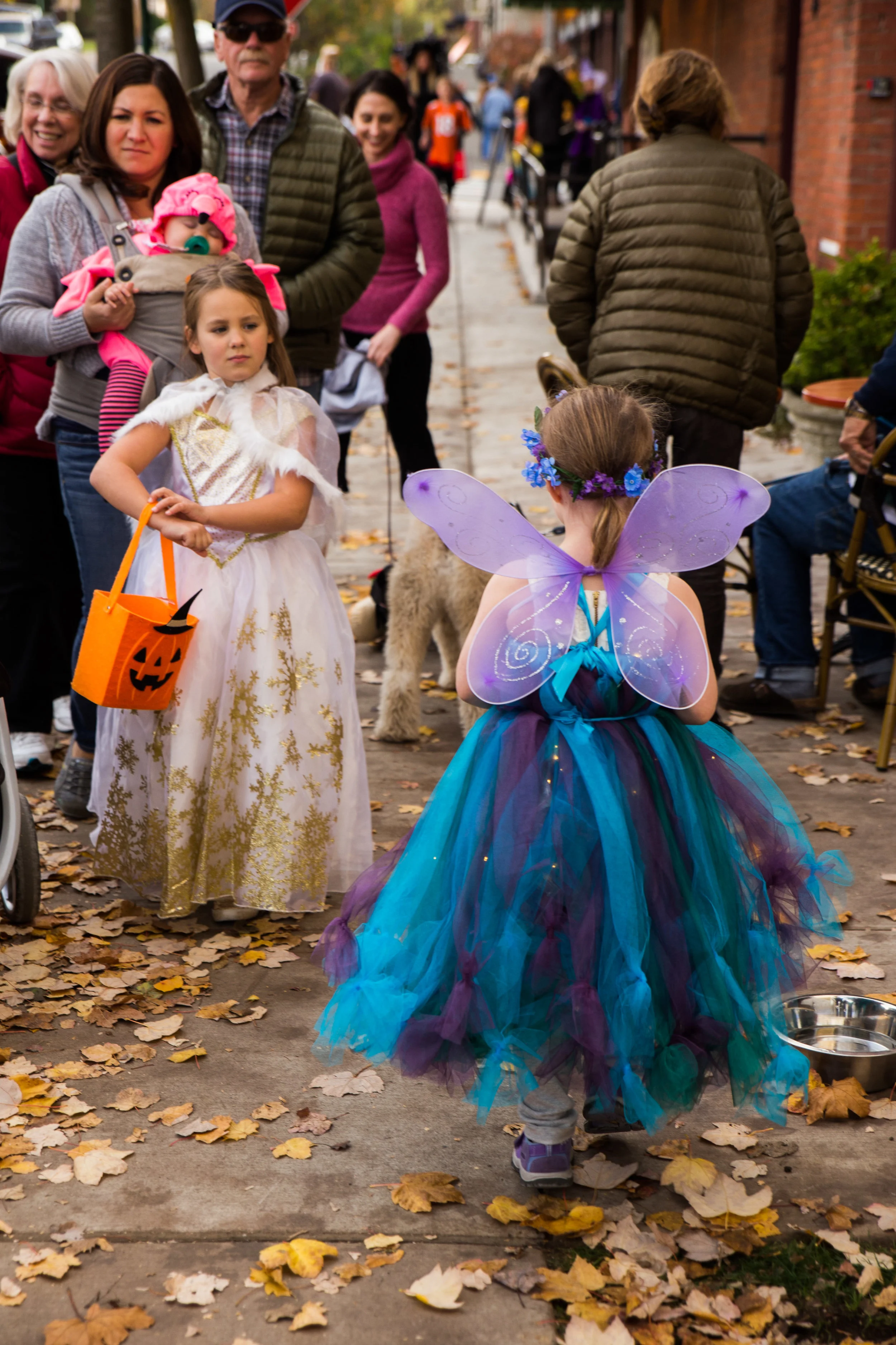 IMG_2111.jpg