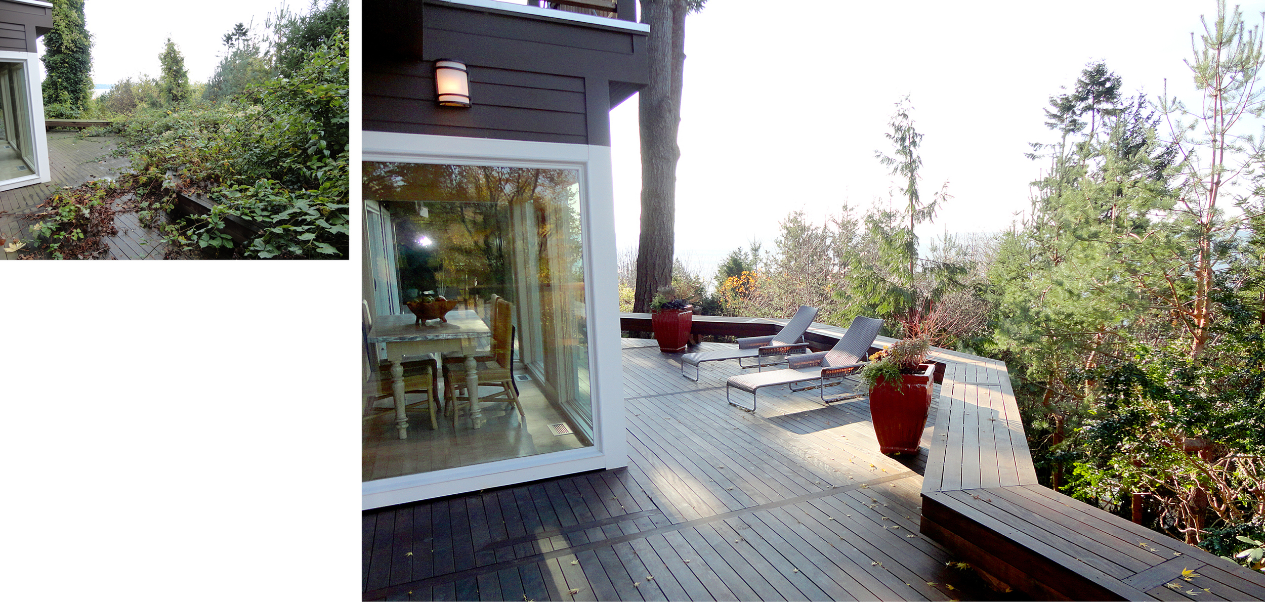 Deck View to the South