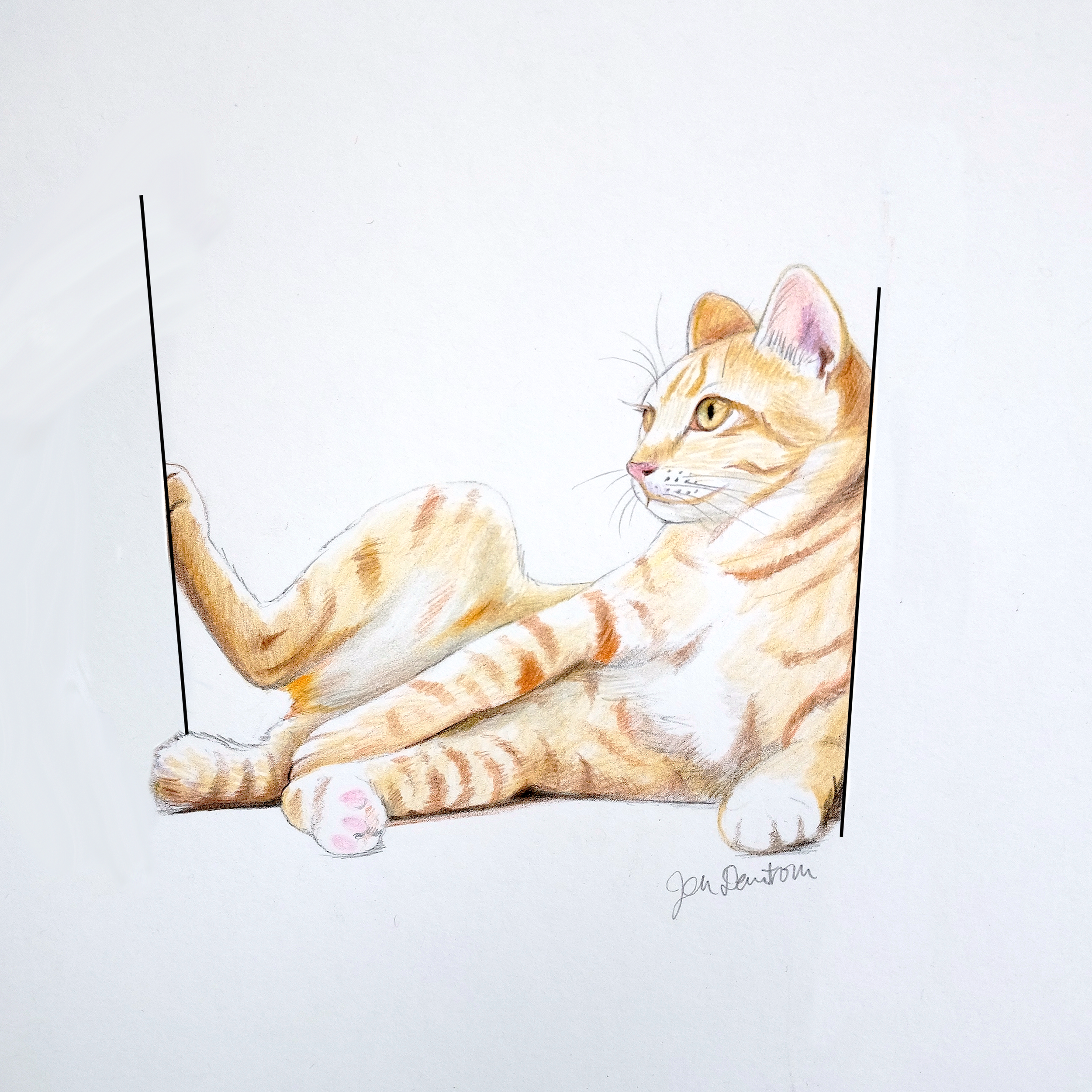 Catbody1.png