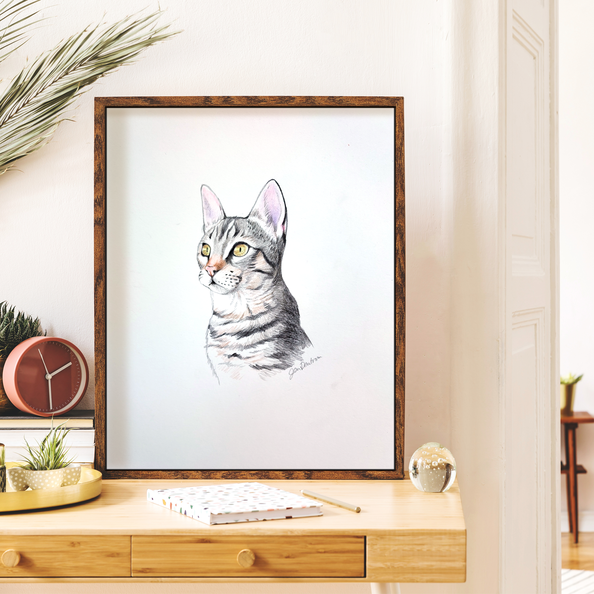 catbbrownframe.png