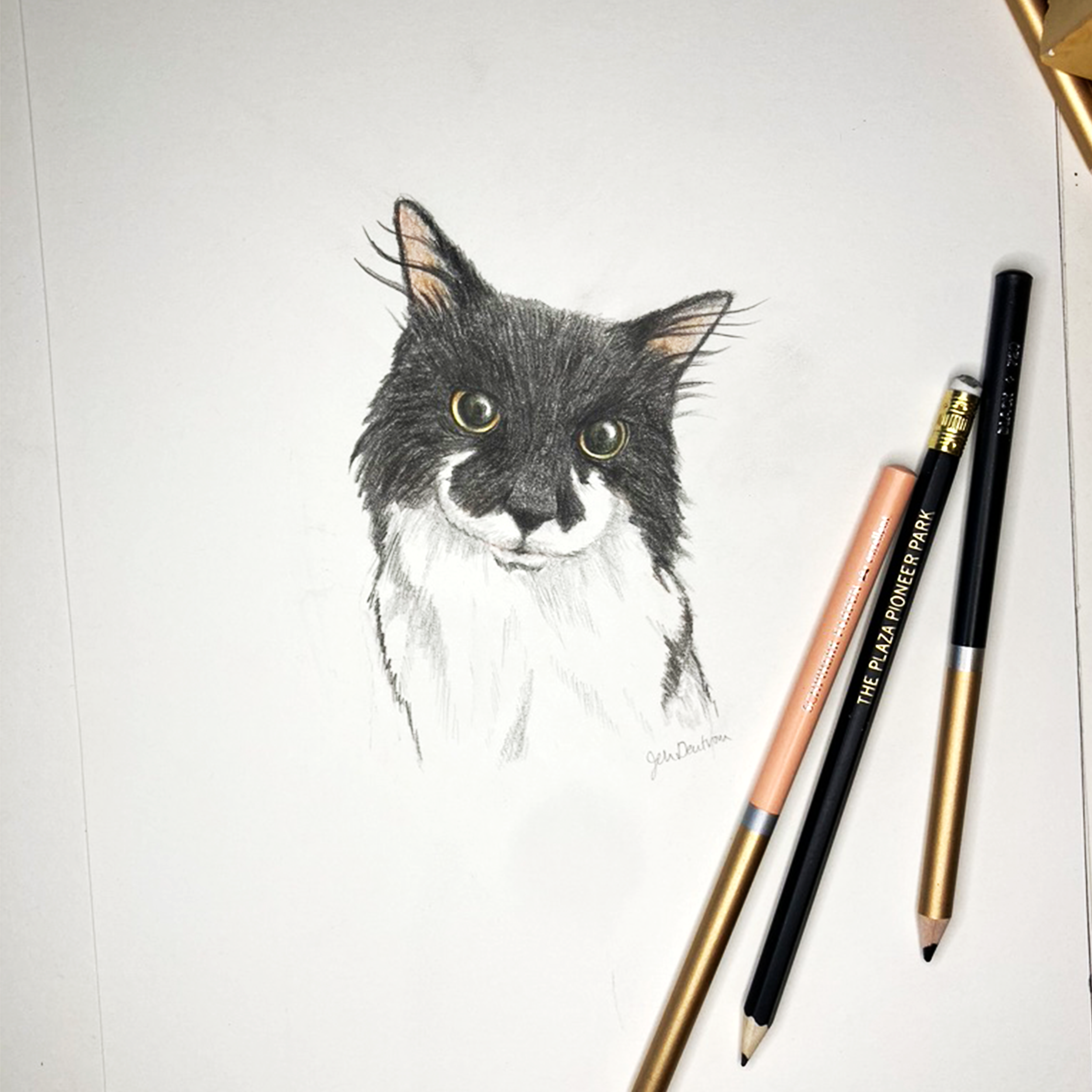 blackcat1.png
