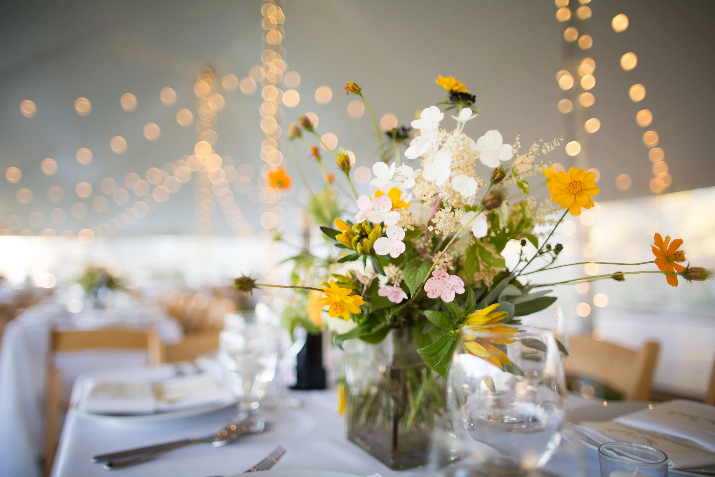 Alexis+Ben 17164800.JPG