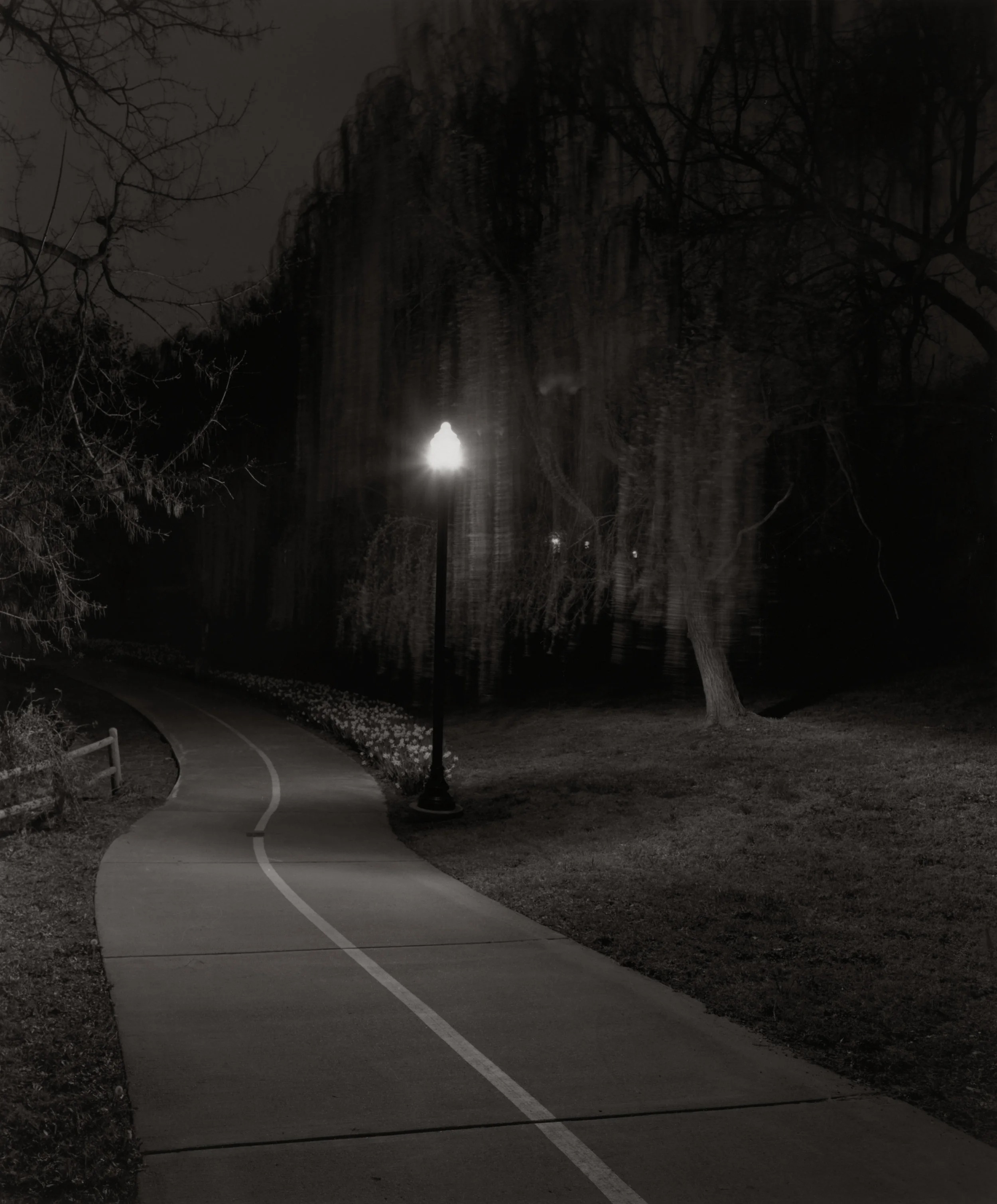 Bentonville Pathway, 2017