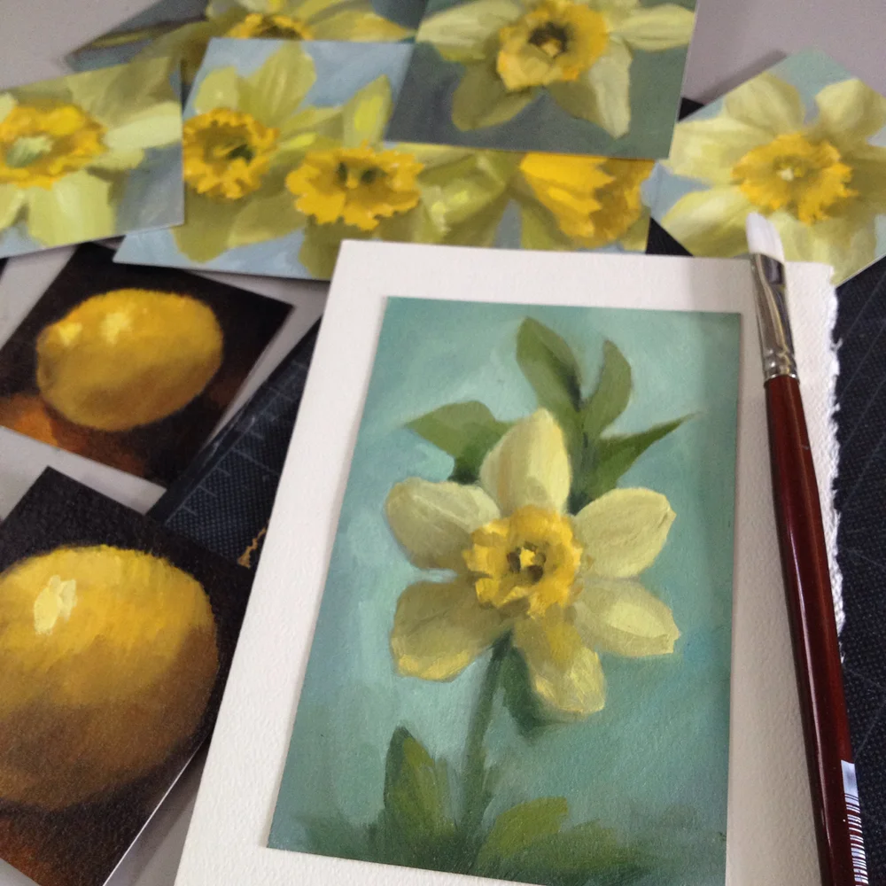 daffodils — Blog — Carol Pascale Studio | Art, Illustration & Design