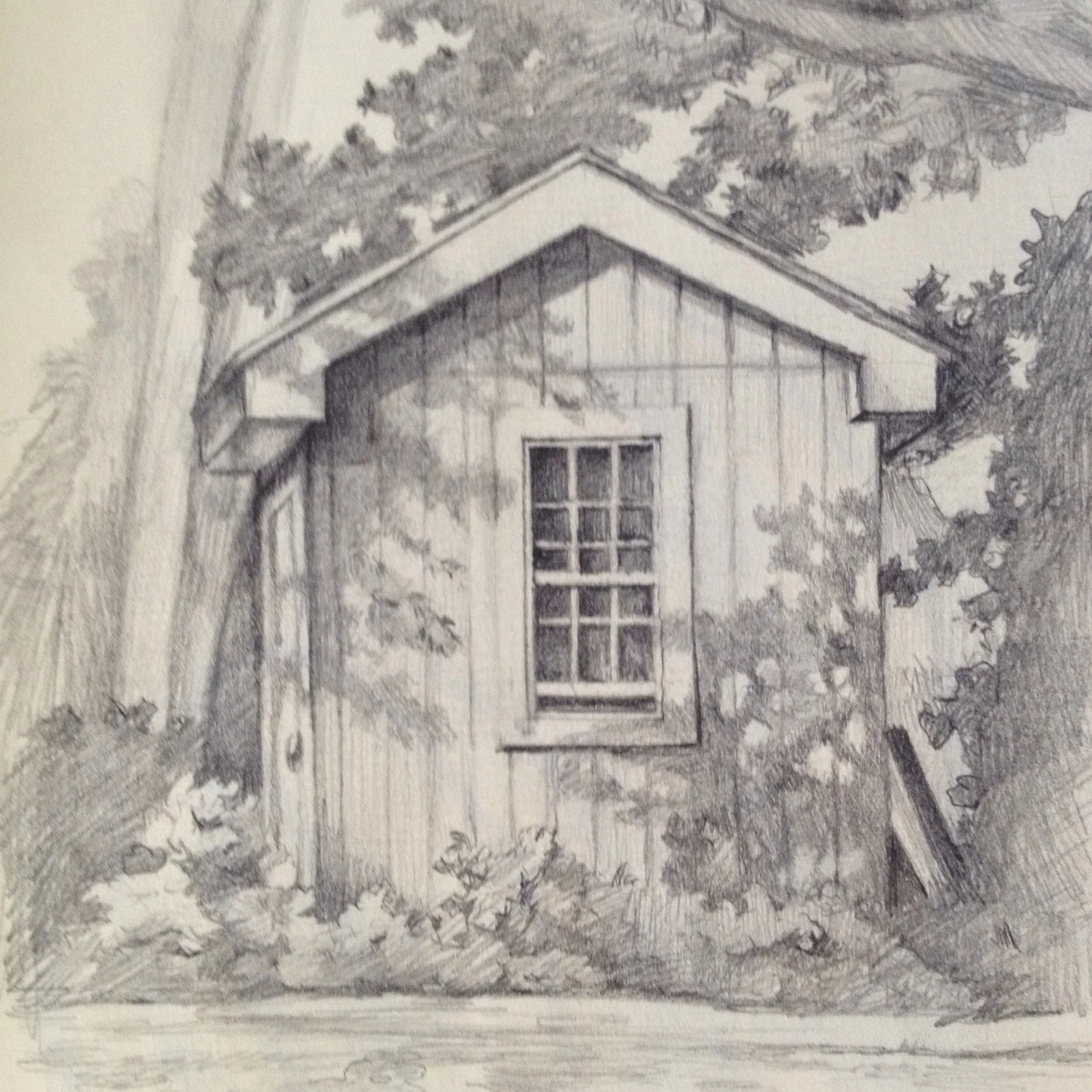 Shed under the trees in sunlight