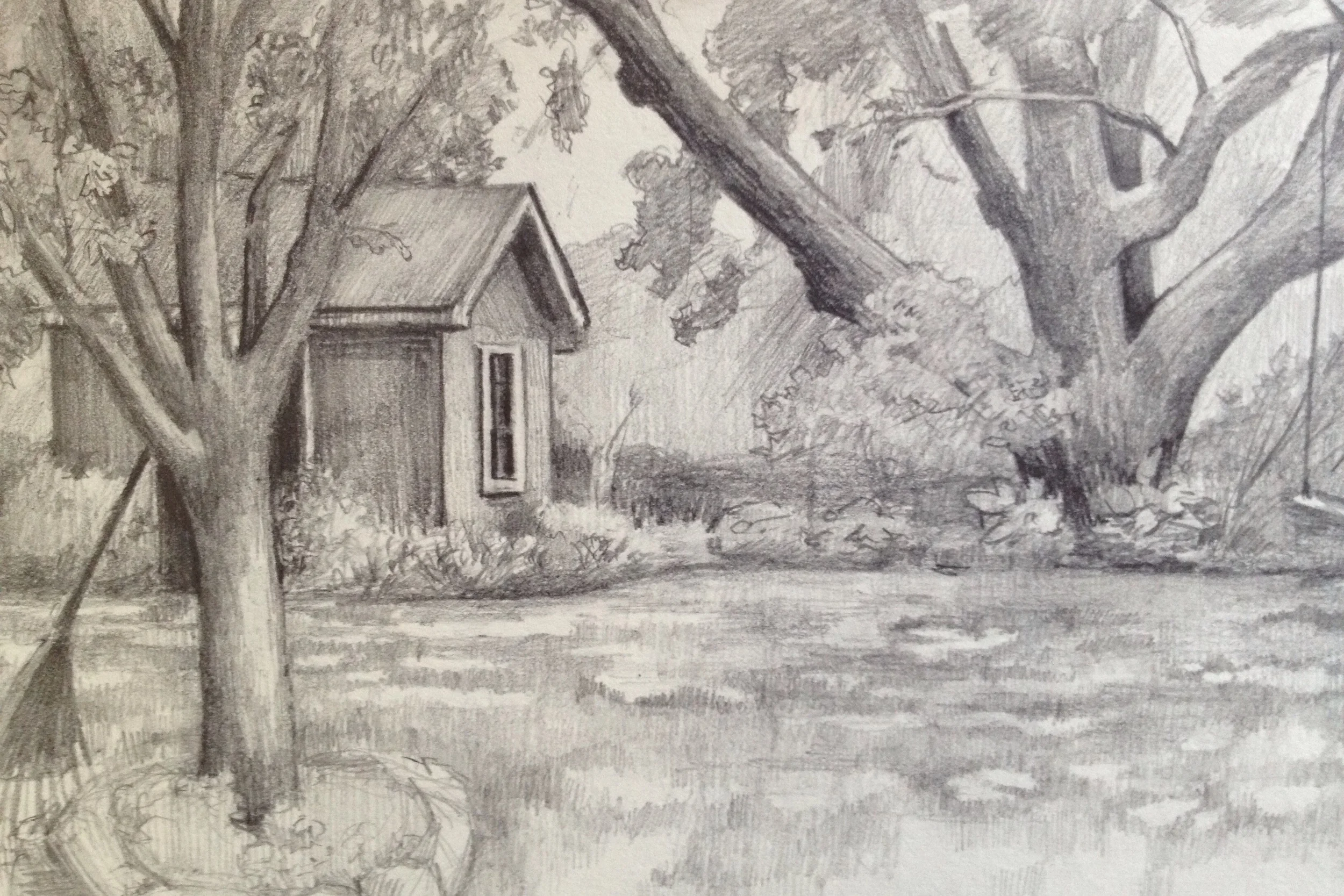 Garden shed and maple tree in dappled sunlight