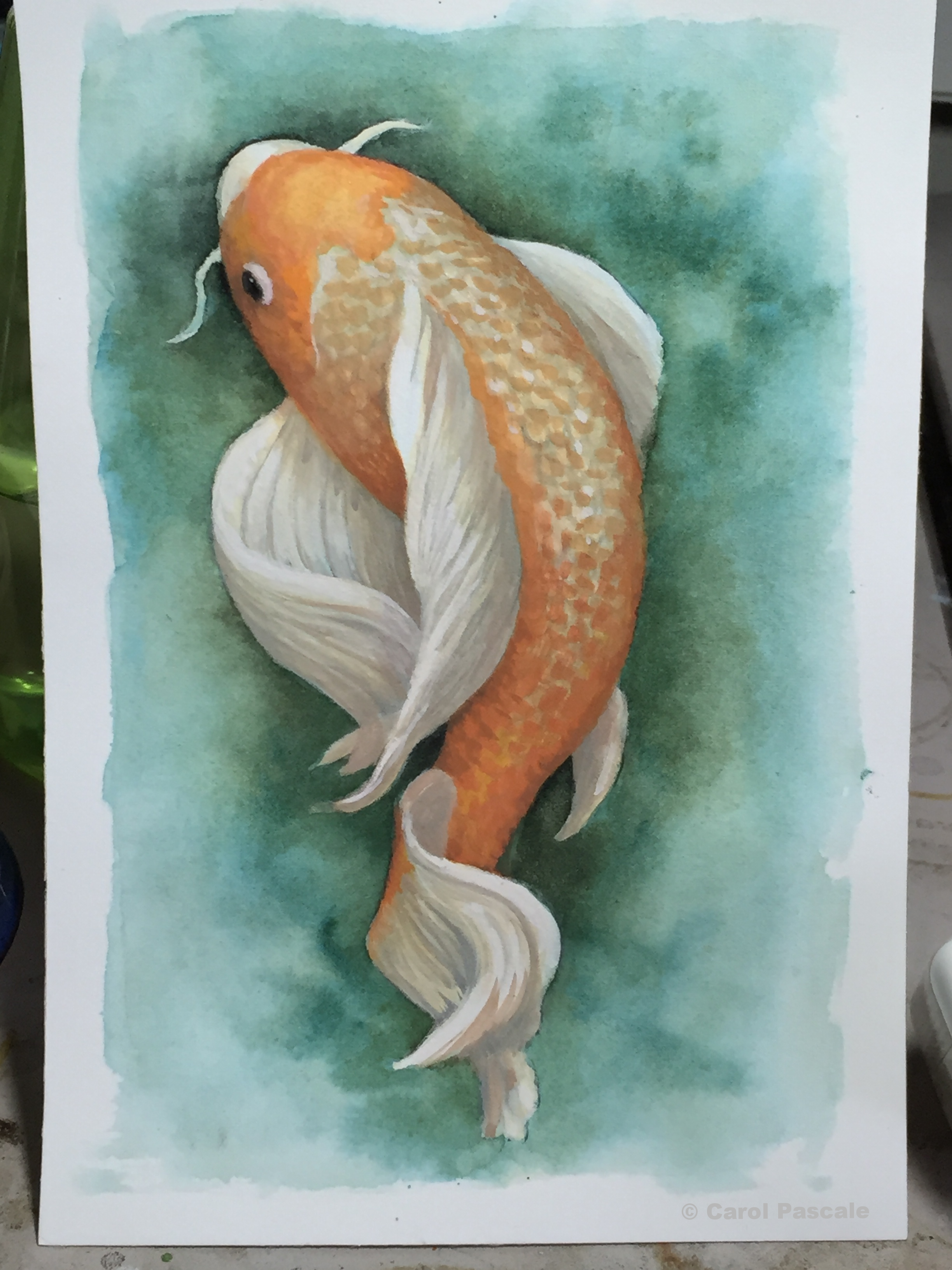 Koi, watercolor and gouache, 5x7"