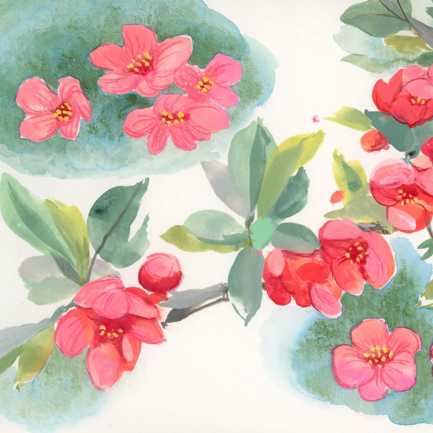 Spring is in the air for a little while anyway 🌸
.
.
.
#watercolor #watercolorillustration #botanicalart #botanicalillustration #acrylagouache #acrylagouacheillustration #watercolorpencil #illustration #illustrator #illustratorforhire #surfacepatter