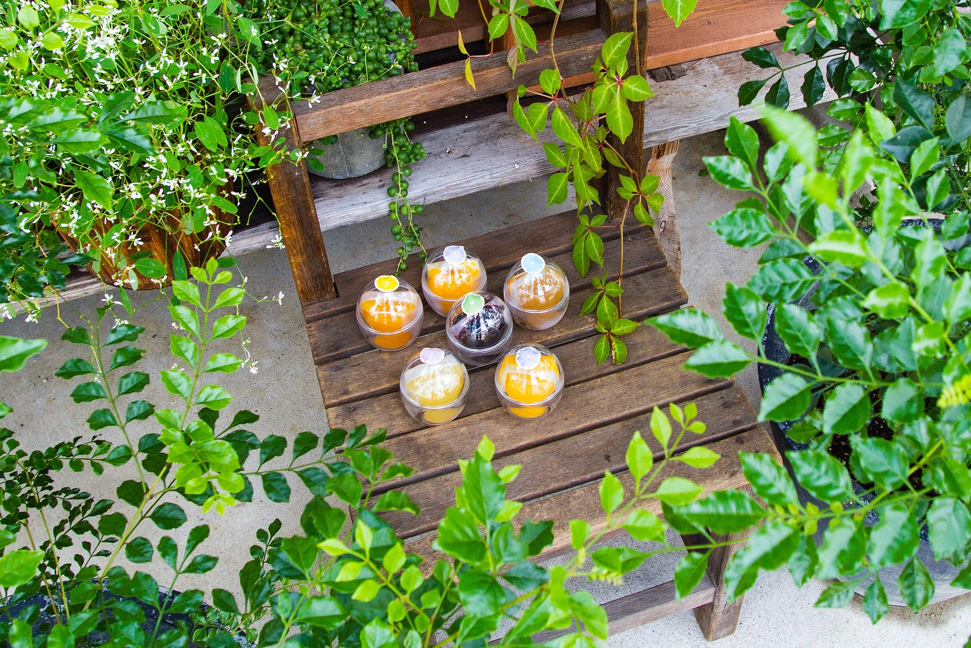 8月は、6日(木)〜17日(月)まで休まず営業いたしております。