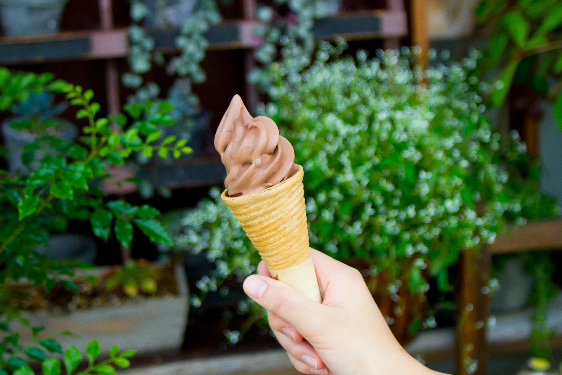好評のソフトクリーム(チョコ味)です。