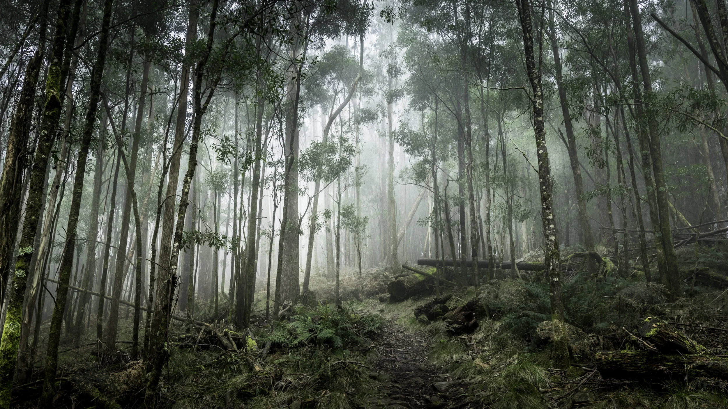 Mt Macedon